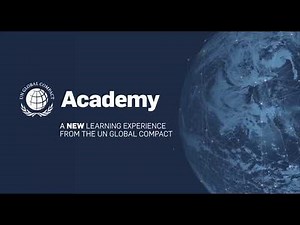 Academy: Taking a Principles-based Approach to the Global Goals