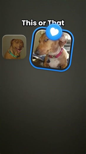 No auto clicker trust me