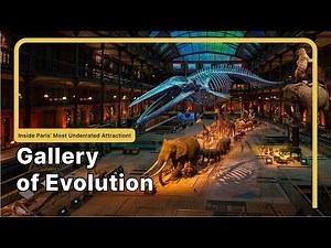 MOST Underrated Attraction in Paris 🇫🇷 Inside the Gallery of Evolution 🐘 | 4K