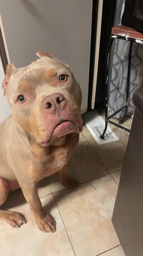 A cube for your thoughts