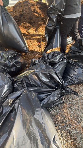 Daffodil Planting day.... Weekend well spent planting daffodils...