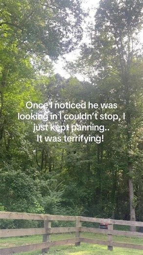 Terrifying Pool Stalker: A Neighbor's Creepy Behavior