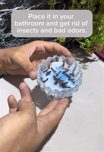 DIY Tips to Eliminate Insects and Odors in Your Bathroom