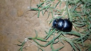 1.8K views · 13 reactions | Ziyalala zona?? | Okuhle Nthuse | Facebook