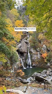 24K views · 423 reactions | Things to know before you go: Bash...