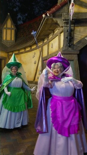 Sleeping Beauty's Fairies Surprise Everyone at Disneyland! 🔵✨ #disneyland #magic #characters
