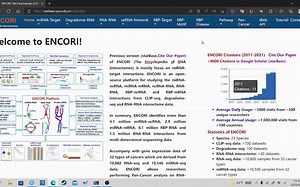 starbase所有的miRNA靶向相互作用对的获取