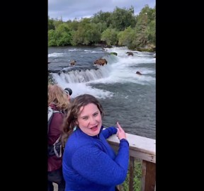 Bears Fishing in Brooks Falls at Katmai National Park