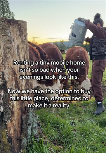 Renting a Tiny Mobile Home: A Journey to Homeownership