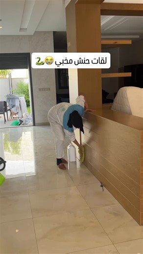 @nettoyage.vip.tanger on Instagram: "We found a snake 🐍 called Hasna 😂 Deep cleaning in tangier , tetouan, Arache and assilah"