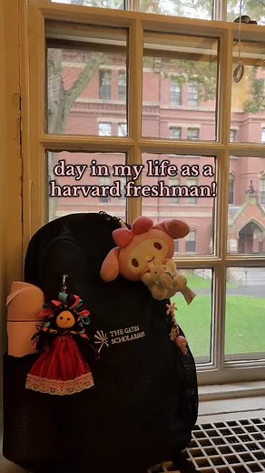 A Day in the Life of a Harvard Freshman