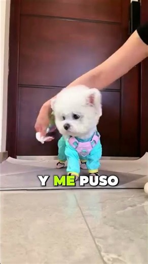 ¡Mi Mamá Me Arregló Tan Bonita Para Llevarme de Paseo! 🥹💕🐶 #shorts