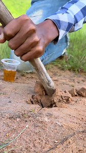 Bushcraft skills: Simple But Very Useful Ideas In Forest #bushcraft #survival #camping #Outdoors #simple | Survival Camp