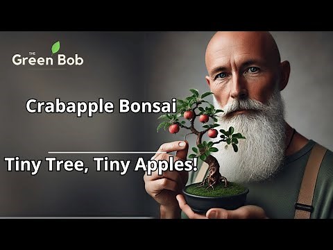 Transforming a Flowering Crabapple Bonsai | Pruning, Cleaning, and Harvesting