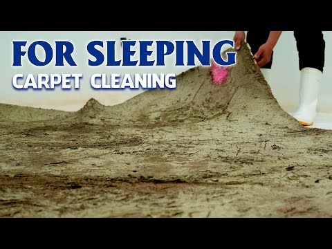 Carpet Cleaning ASMR for Deep Sleep – Relax, Unwind, and Sleep Better Tonight