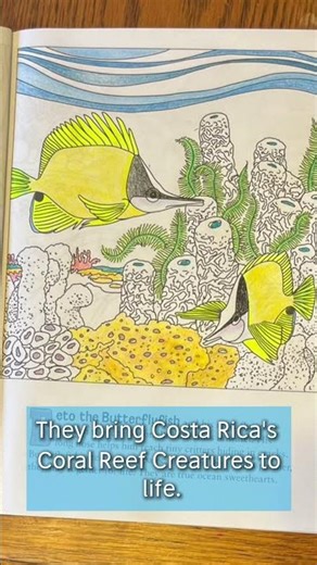 Ocean Adventure Costa Rica Coral Reef Coloring Books
