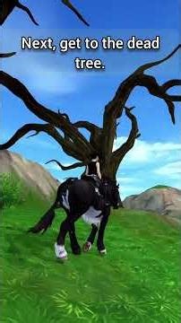 How to do the slide glitch in Valedale! #sso #horsegame #tutorial #starstable