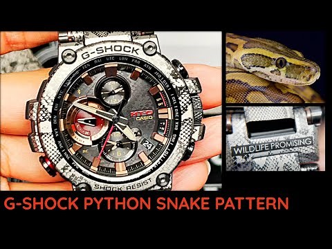 G-shock SNAKE pattern - Wild Life Promising MTGB1000WLP - African Rock Python - Review and More