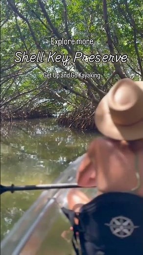 Explore Shell Key Preserve on a Kayaking Tour near St. Pete Beach!