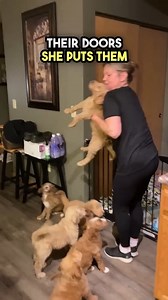 4.6M views · 10K reactions | The CUTEST goodnight kisses #reelsfb #reelsviral | Fast Motion | Facebook