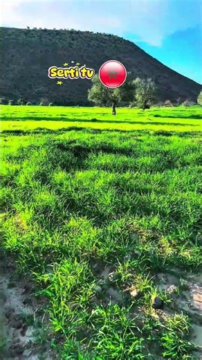 ما شاء الله الطبيعة يا سلام