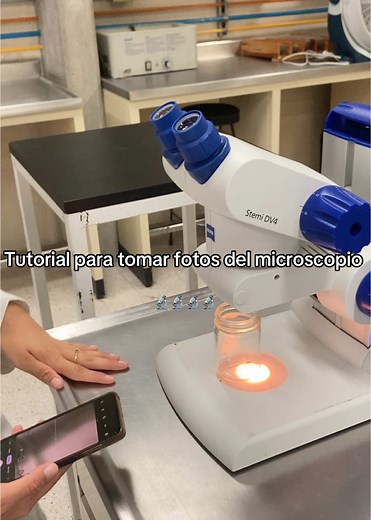 Puras fotos profesionales jiji #microscopio #tutorial #laboratorio #ciencia #biologia #estudiantes #biologystudent #paobiologica #lab #fyp #practica