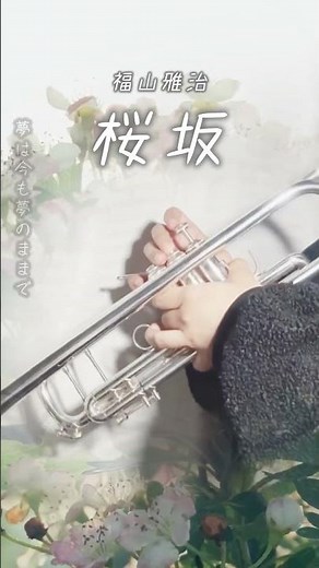 【桜坂🌸 / 福山雅治】トランペットソロ