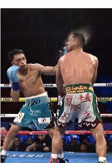 Top Rank Boxing Highlights for 2024: A Year to Remember