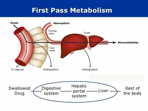 First pass metabolism effect as related to Therapeutic Drug monitoring