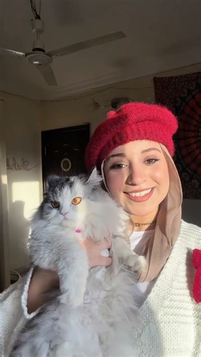 S H A H D on Instagram: "Luca’s unboxing 🤩♥️♥️ @tailsco.eg"