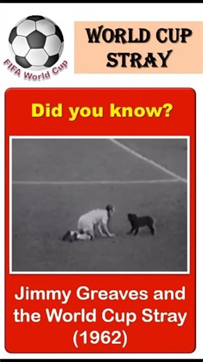 World Cup Stray Dog (1962)