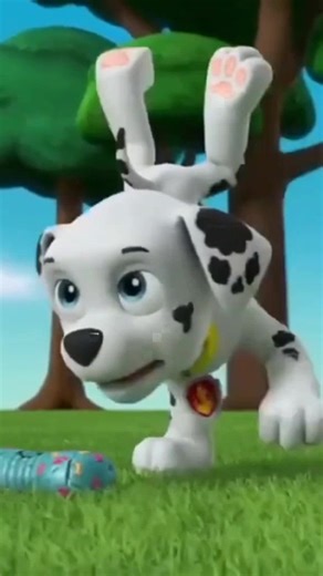 Marshall Elevator Fail Compilation - Paw Patrol