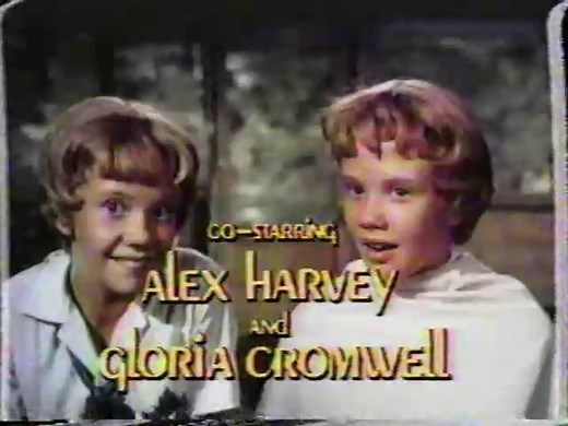 VHS Tape: Parent Trap II, VVhi19 Uhri51m@5, Brigadoon (1986)