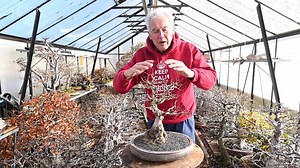 15K views · 369 reactions | Walter Pall explains how you can grow a...