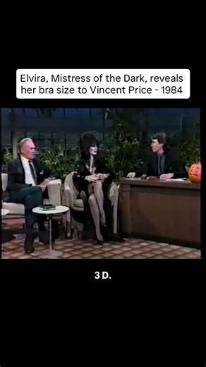 @70s_80s_clips on Instagram: "#retro #nostalgia #1980s #80s #thetonightshow #vincentprice #elvira #elviramistressofthedark #halloween #spookyseason"