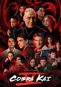 眼镜蛇第5季-09-免费在线观看-爱壹帆