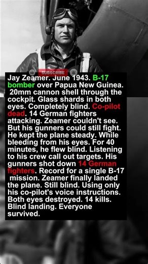 1 Blinded Pilot Killed 14 Germans While Crashing | Military History Talks