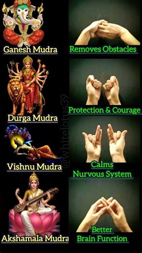 Divine Connection Mudras 💫#yogmudra #whitelotusenergy #ytshorts