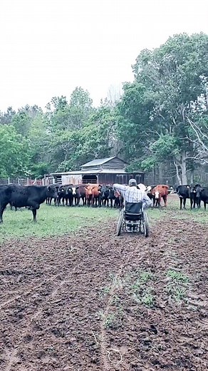 #funny #hilarious | Jonathan Hawkins