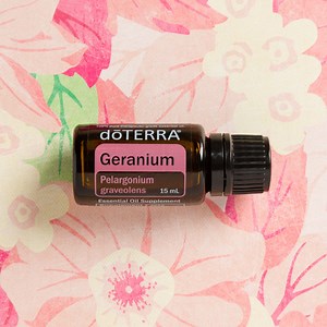 Geranium Oil Uses and Benefits | dōTERRA Essential Oils