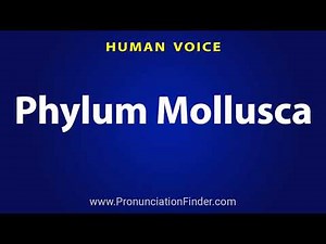 How To Pronounce Phylum Mollusca