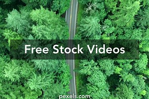 Cars Moving Videos, Download The BEST Free 4k Stock Video Footage & Cars Moving HD Video Clips