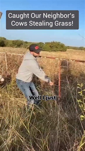 One of the many differences between bison and cattle, unlike cattle bison will not reach their head through the fence to grab groceries on the other side. If your animals are reaching through the fence to get some of your neighbor’s hard work, you more than likely have some of your own pasture concerns. Thanks for keeping the fence line clean though!😂 #bison #ranchlife #agriculture #farm #regenerativeagriculture | Cross Timbers Bison