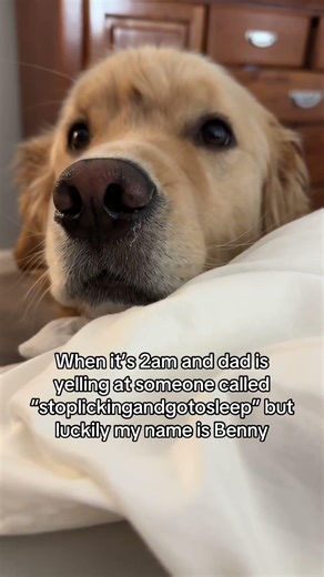 Not sure who he’s yelling at