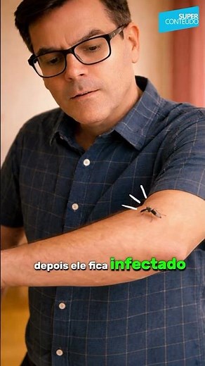 Conheça o ciclo de Transmissão da Dengue.