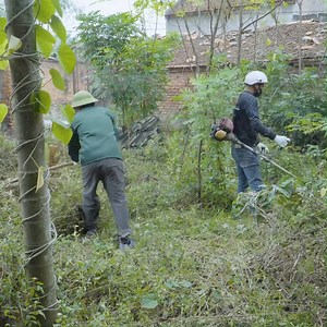 CLEANING ABANDONED HOUSE/ cutting overgrown grass cleaning yard |GREAT RESULTS - Part 2 #abandoned #lawn #cleanup #cleaningmotivation #clean #overgrown #transformation | CleanUp Crew