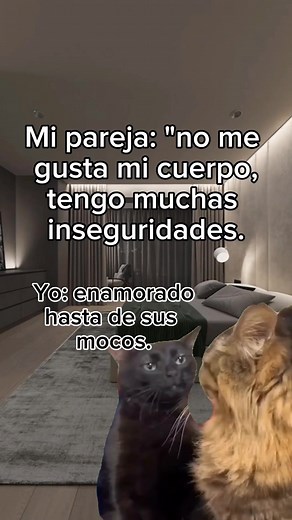 Diviértete con los Mejores Memes en Upsimemes