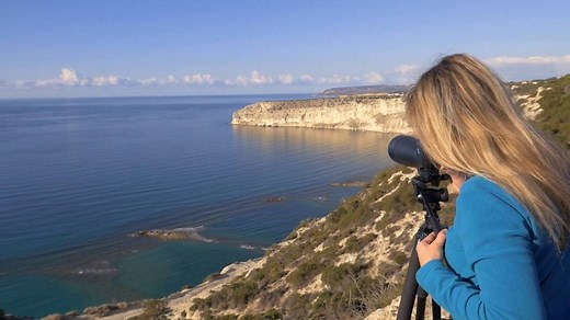 From herons and wildfowl cruising along the pristine coastlines of Akamas peninsula to raptors and passerines drawn to the wetlands and scrub of the Akrotiri peninsula, autumn in Cyprus is a birdwatcher’s dream. Its unique location on one of the major migration routes between Europe and Africa makes the island a key stop-off point for hundreds of thousands of birds, and an abundance of natural areas promise a unique countryside, rich in birds and culture, waiting to be discovered. Find out more