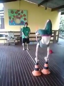 36K views · 113 reactions | Well, that is just out of my league! | Carbon Express Arrows | Facebook