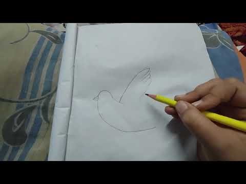 HOW TO DRAW A FLYING BIRD PIGEON#HOW TO DRAW#like AND SUBSCRIBE